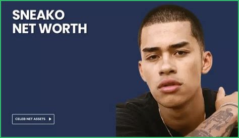 SNEAKO Net Worth and Earnings